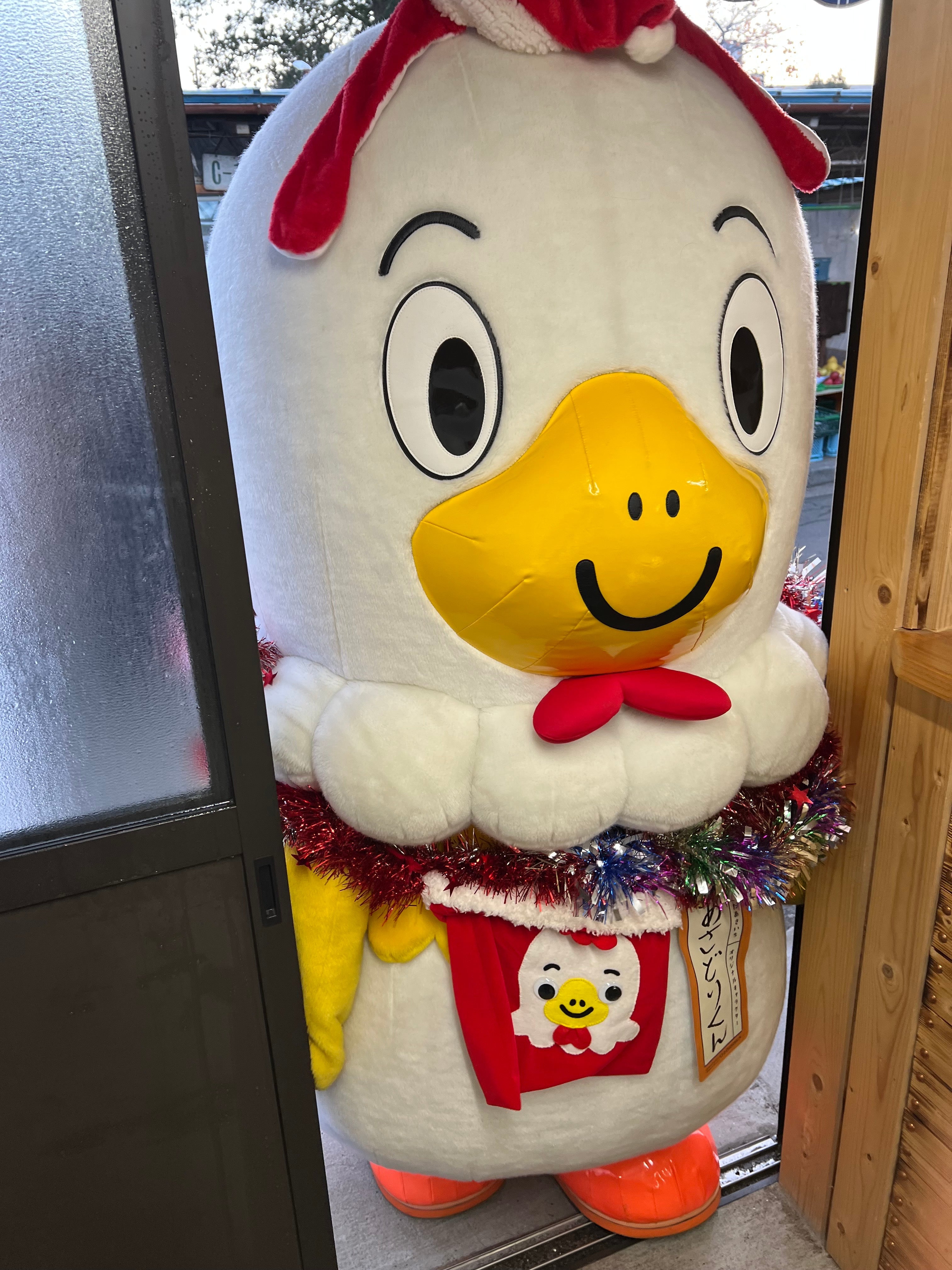 あさどりくん日記 / その１３「ボクとクリスマス」