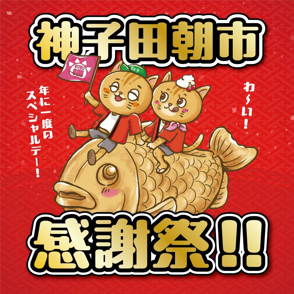 ちりちり猫 / ちりちり日記 / Vol.10「12/14感謝祭　ありがとうございました！」