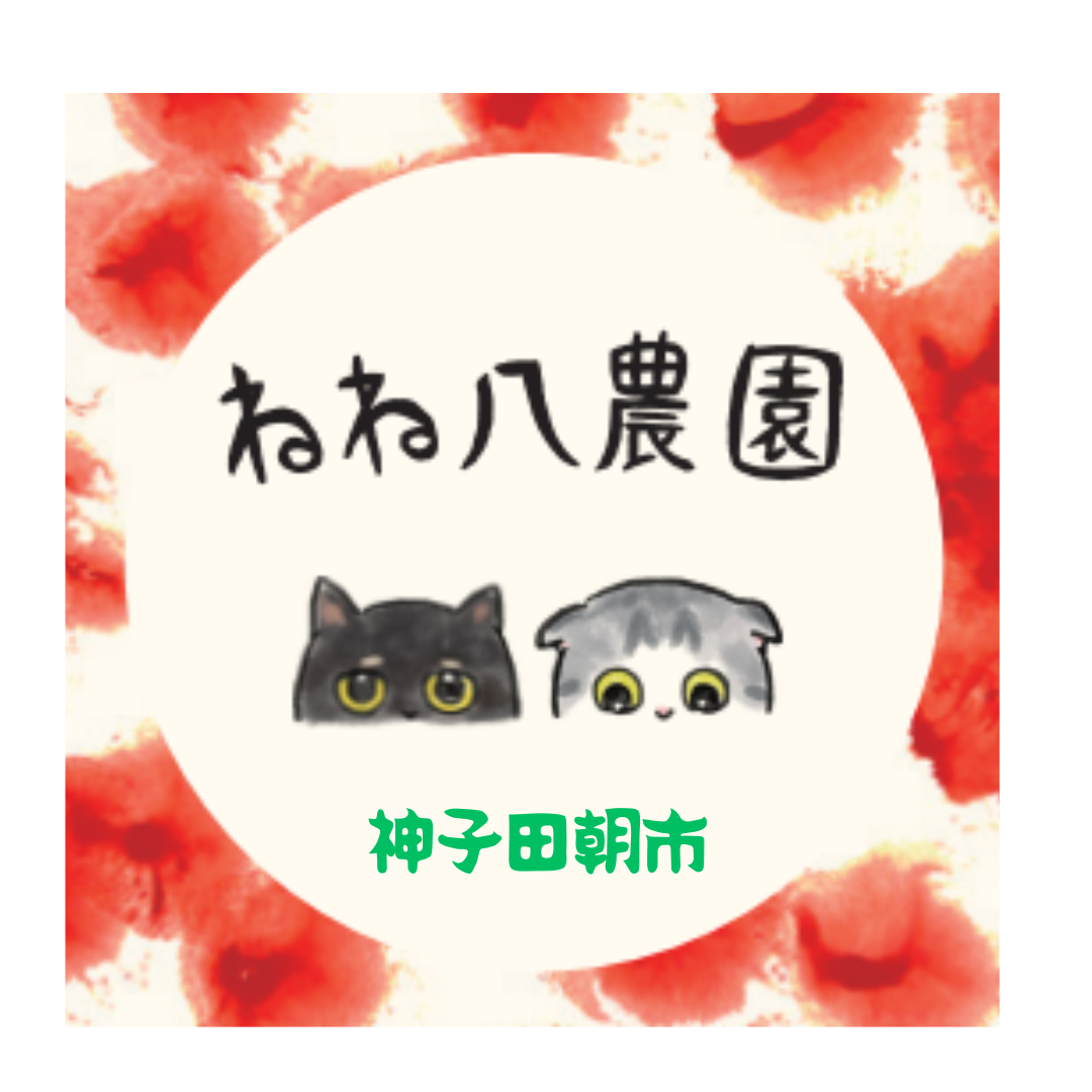 ねね八日記/Vol.４「トマトの加工品」